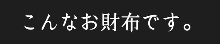 こんなお財布です。