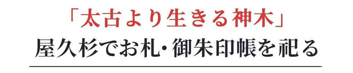 太古より生きる神木屋久杉でおふだや御朱印帳をまつる