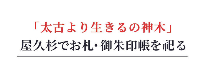 「古来より生きる神木」屋久杉でお礼・御朱印帳を祀る」